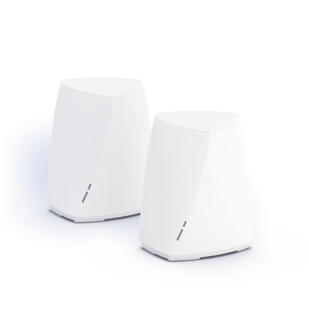 Mesh network with two routers