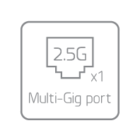 2.5-Gigabit Multi-Gig port